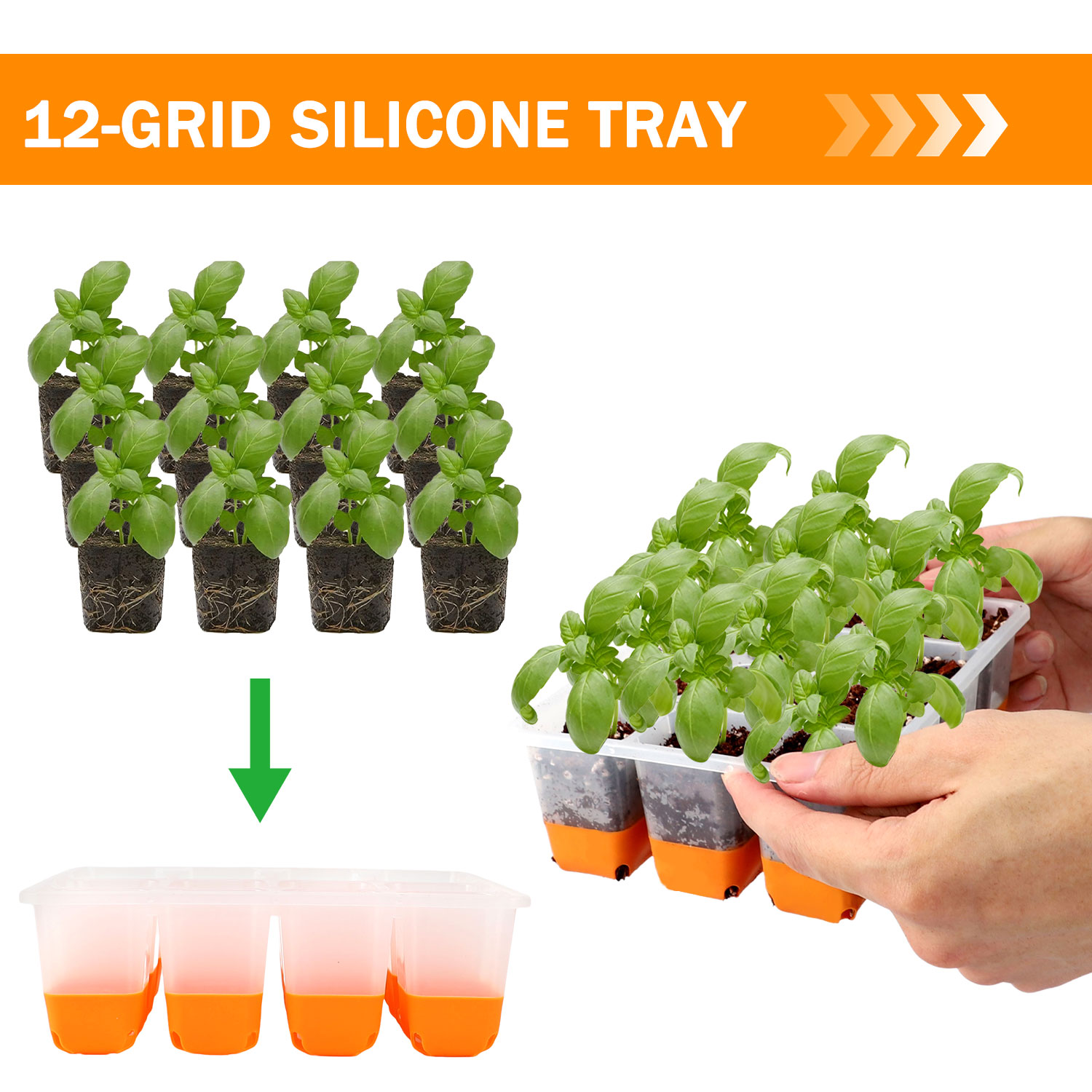 Food Storage Plants - 5/10 Orange Seed Starter Tray Box
