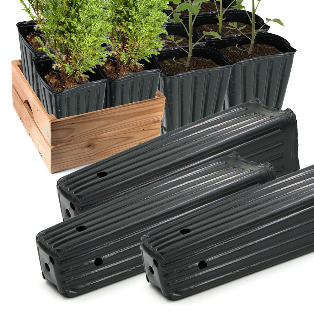 Food Storage Plants - Square Tree Pot with Drainage Holes