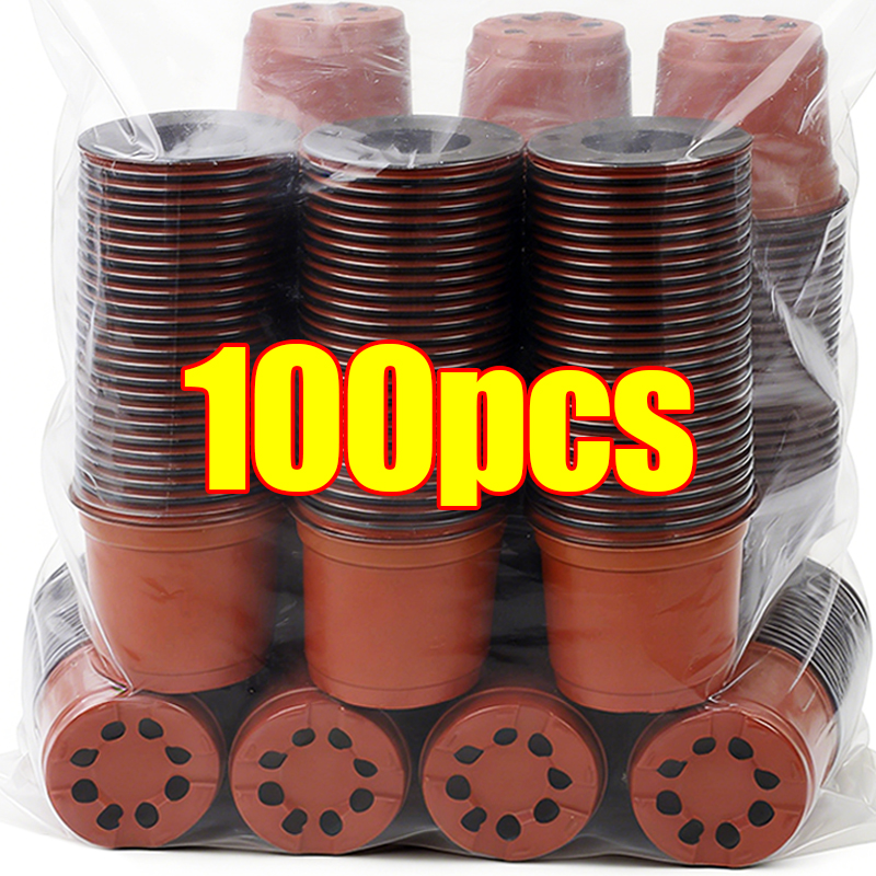 Food Storage Plants - 100/20x Seeding Nursery Pot Black Red
