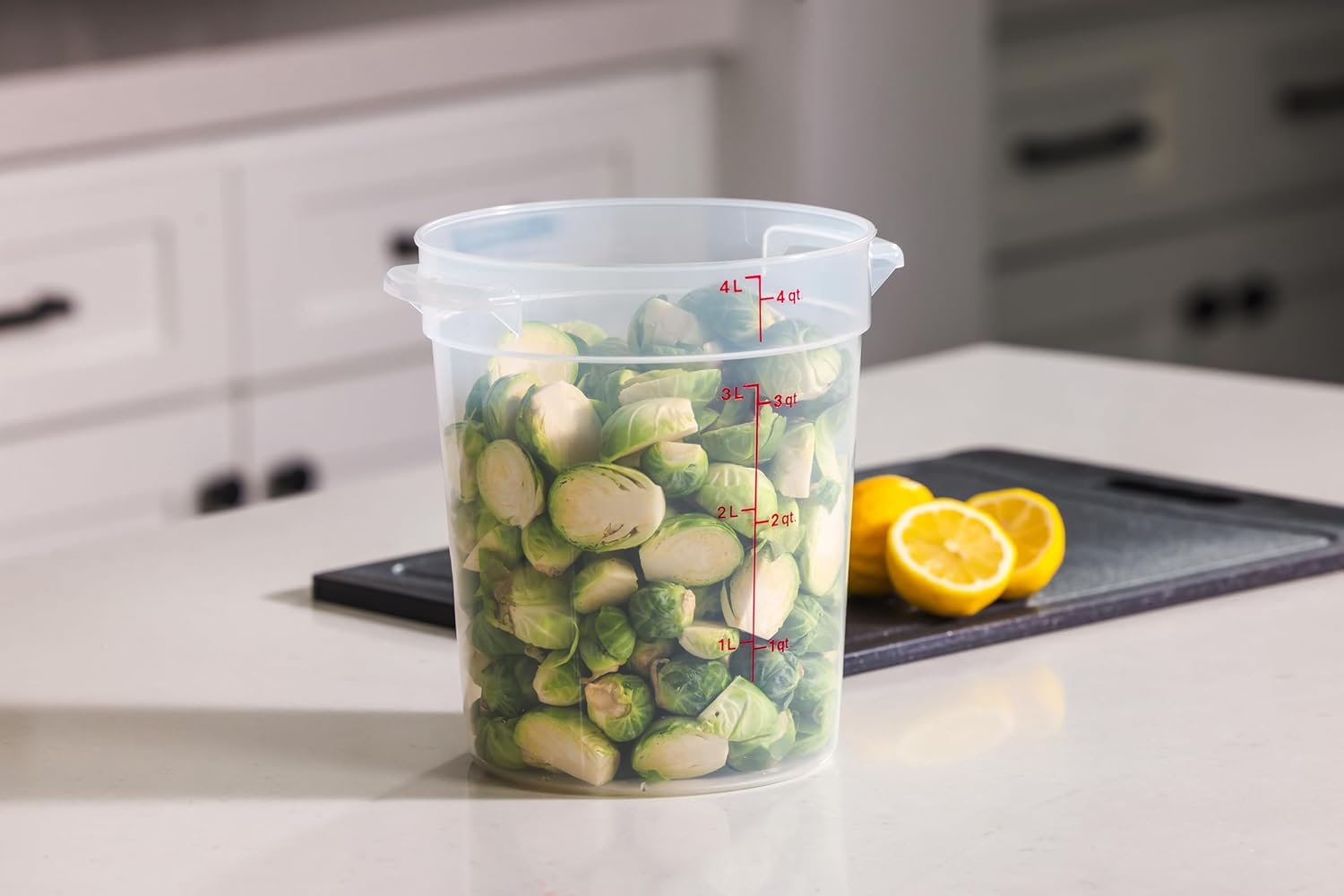 4 Quart Food Storage Container - Food Storage 4 Quart のレビューと価格