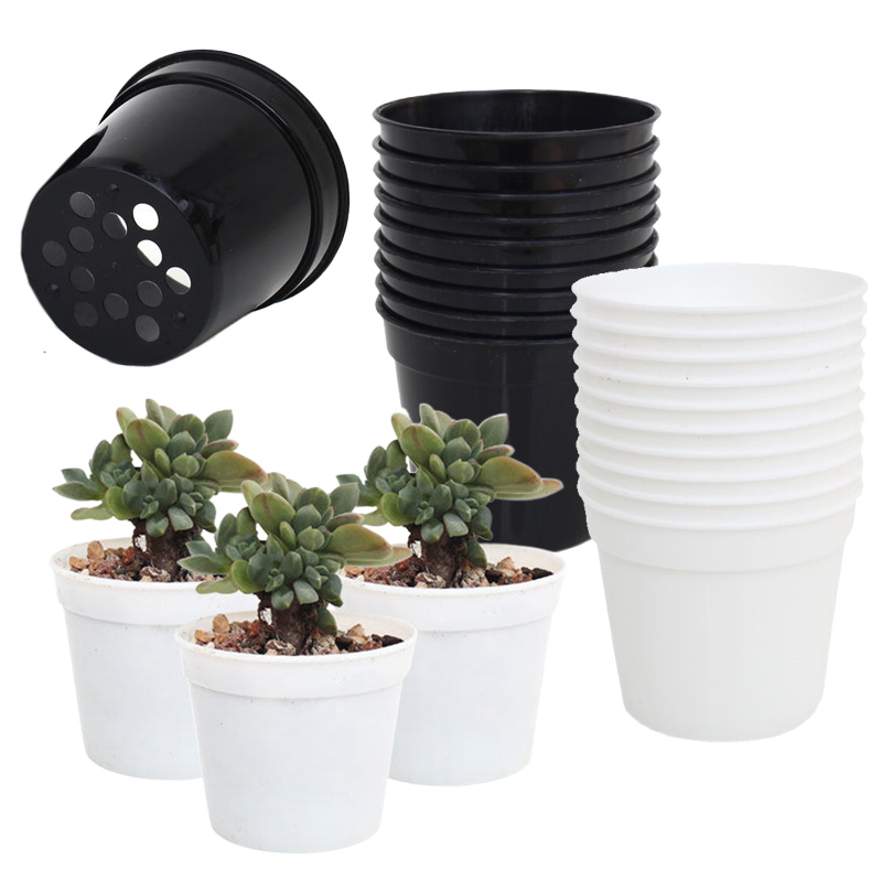 10/20pcs Round Plastic Flowerp - Food Storage Plants のレビューと価格