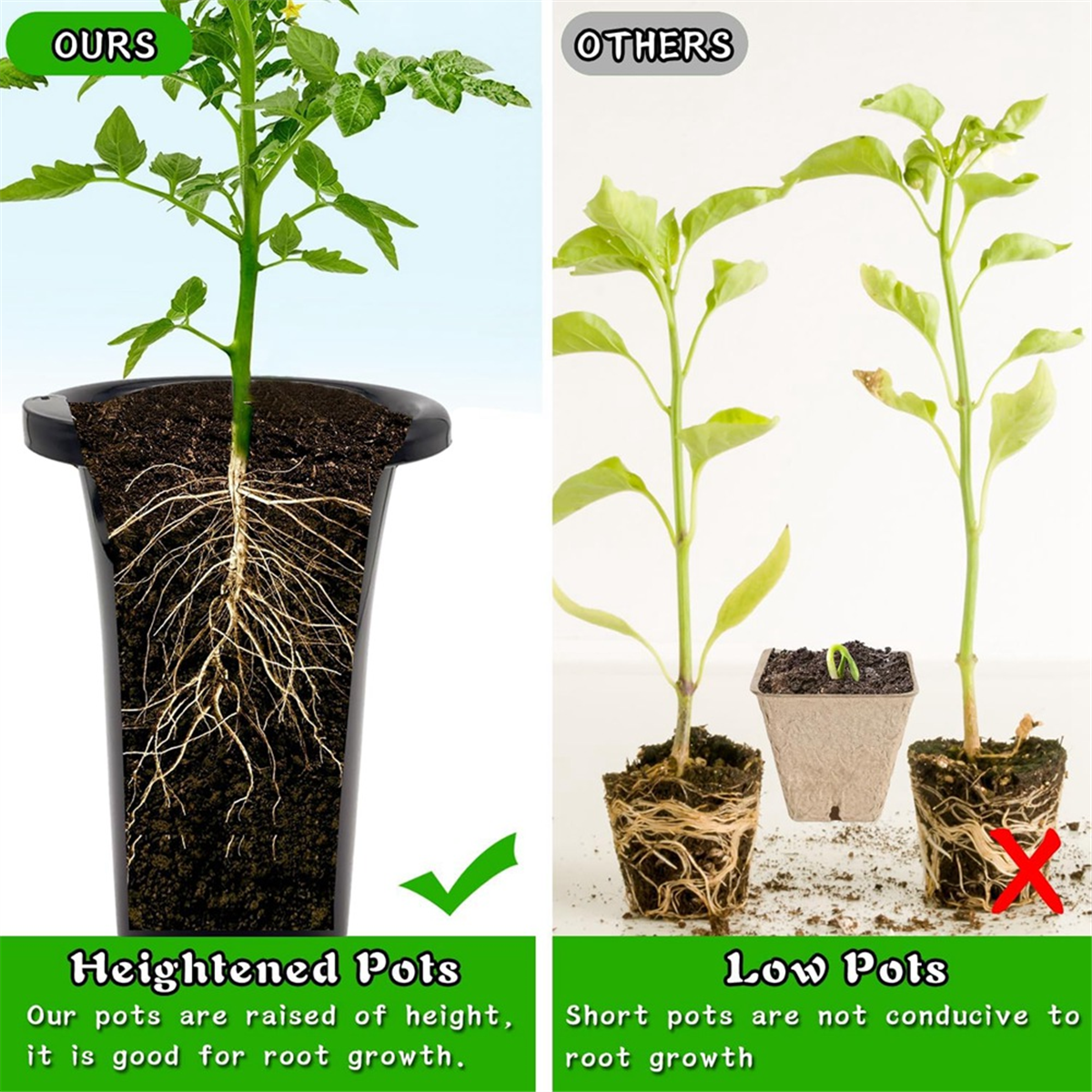 10Pcs Plastic Deep Plant Nurse - Food Storage Plants のレビューと価格