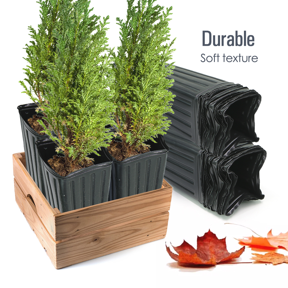 Square Tree Pot with Drainage  - Food Storage Plants のレビューと価格