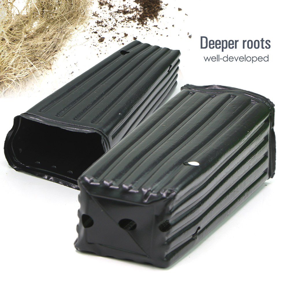 Square Tree Pot with Drainage  - Food Storage Plants のレビューと価格