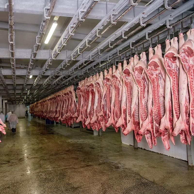 Cold Storage Room Slaughter Ho - Food Storage For Room のレビューと価格