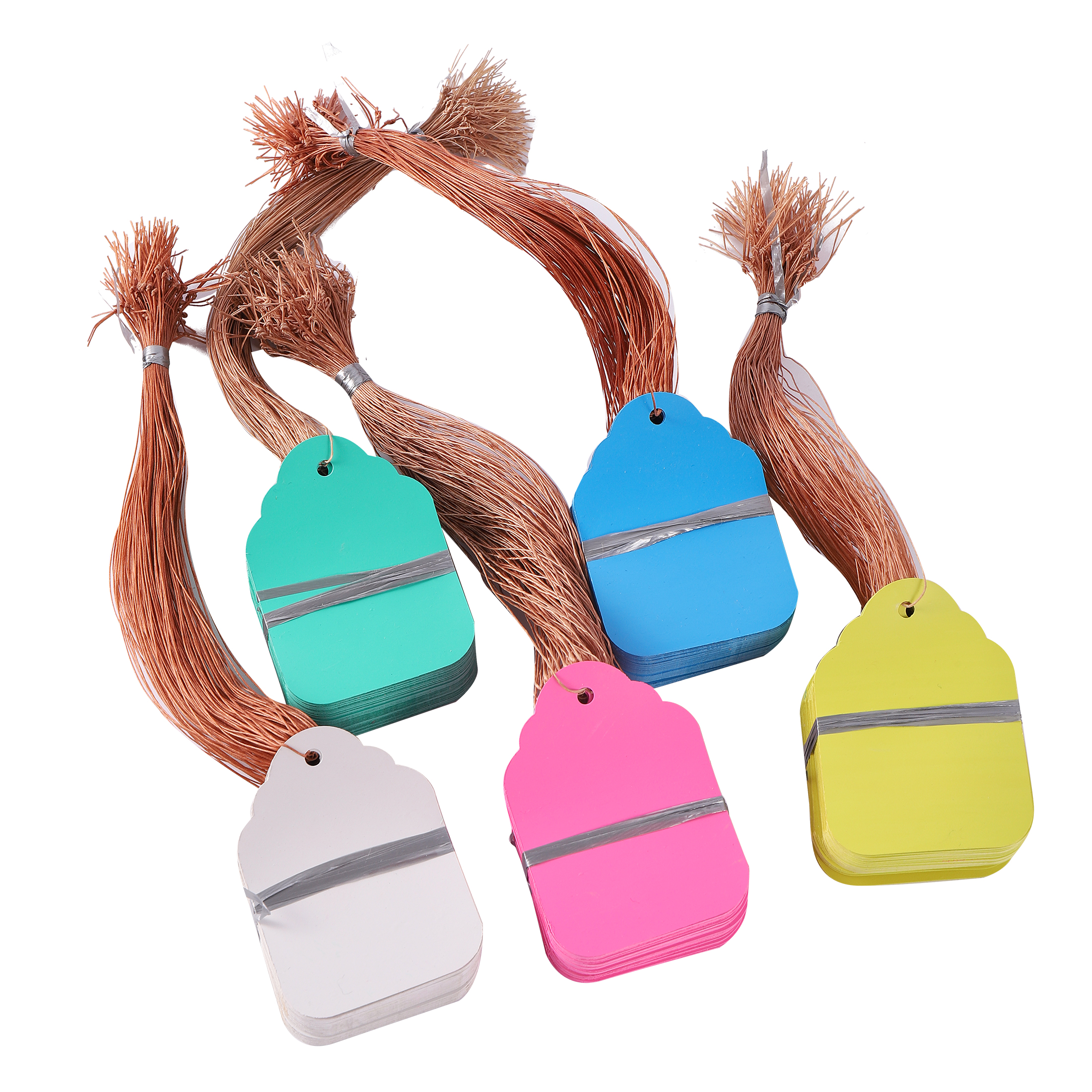 100Pcs/Lot Plants Hanging Plan - Food Storage Plants のレビューと価格