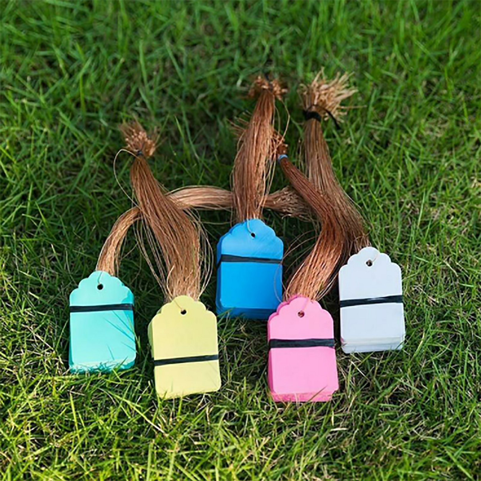 100Pcs/Lot Plants Hanging Plan - Food Storage Plants のレビューと価格