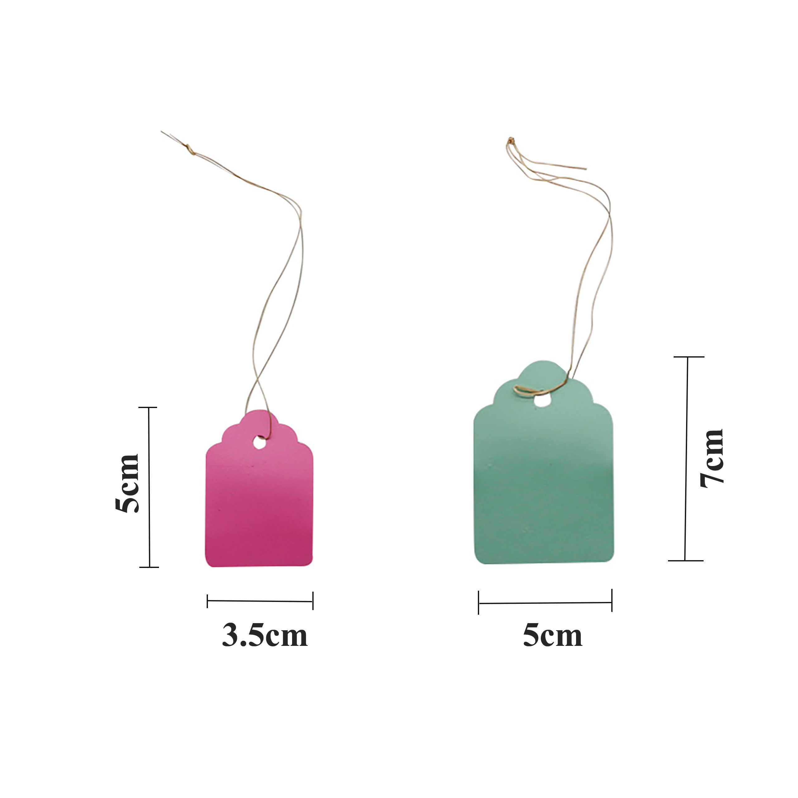 100Pcs/Lot Plants Hanging Plan - Food Storage Plants のレビューと価格