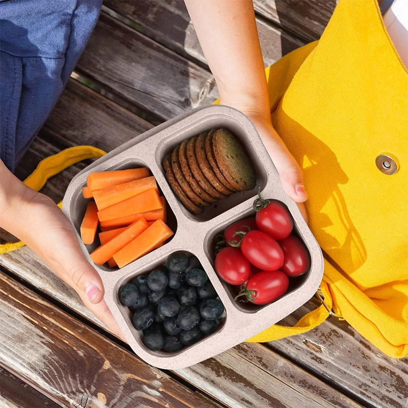 4 Grids Food Storage Box Porta - Food Storage For Room のレビューと価格