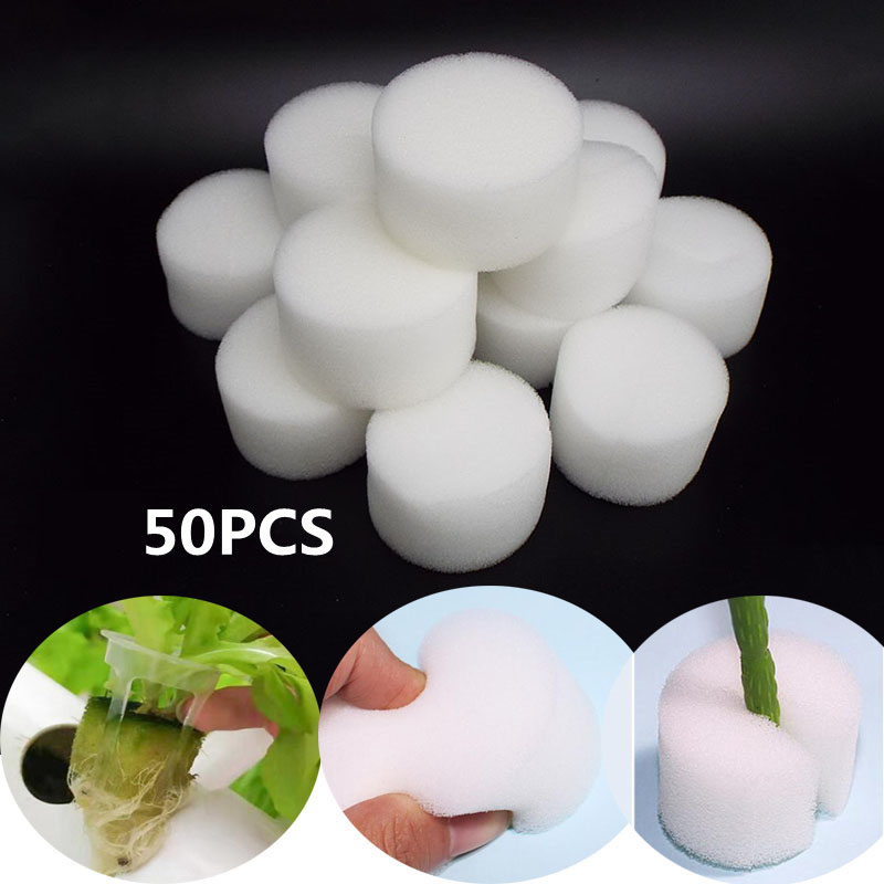 50pcs White Sponge for Hydropo - Food Storage Plants のレビューと価格