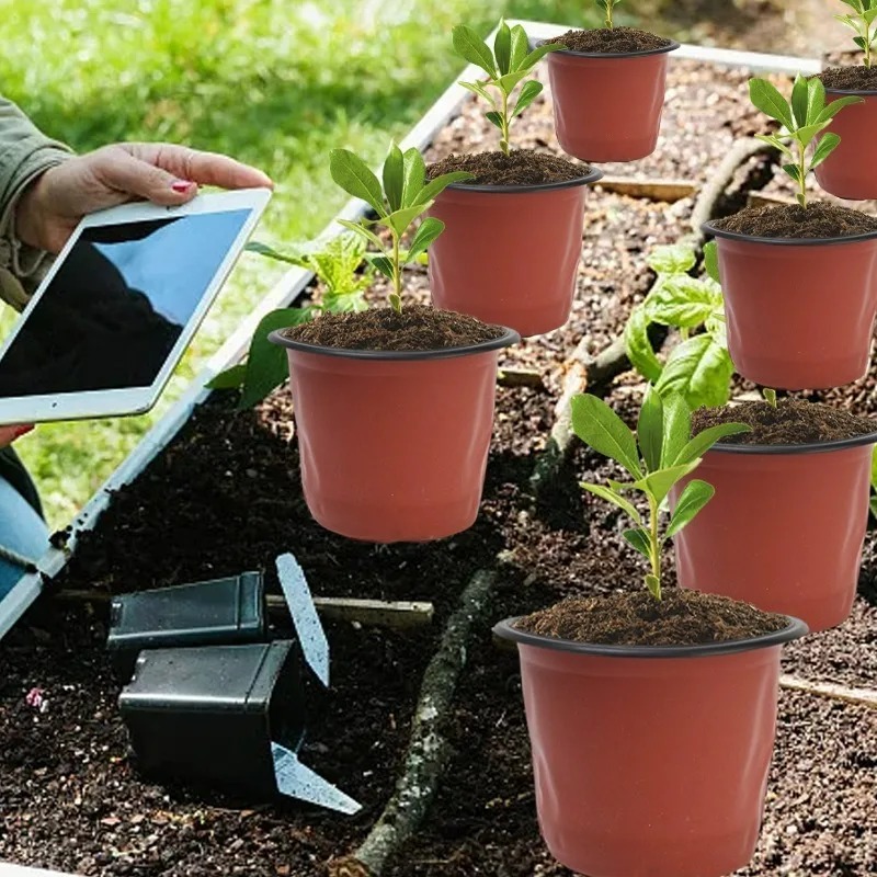 100/20x Seeding Nursery Pot Bl - Food Storage Plants のレビューと価格