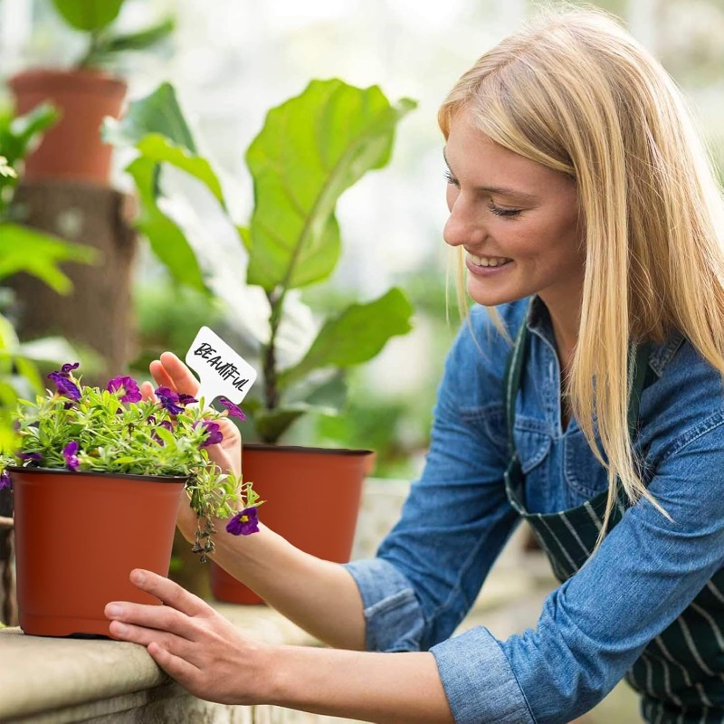 100/20x Seeding Nursery Pot Bl - Food Storage Plants のレビューと価格