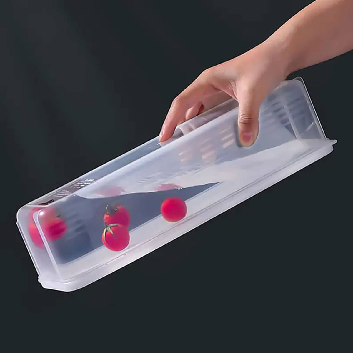 1 Plastic Transparent Storage  - Food Storage For Room のレビューと価格