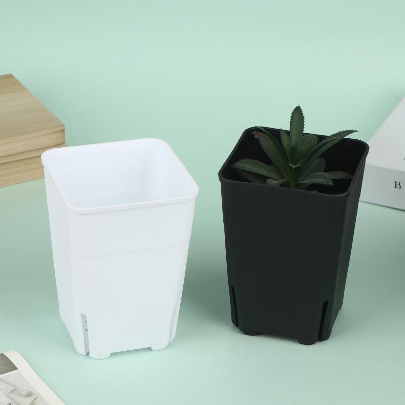 Seedling Pots Square Plastic P - Food Storage Plants のレビューと価格